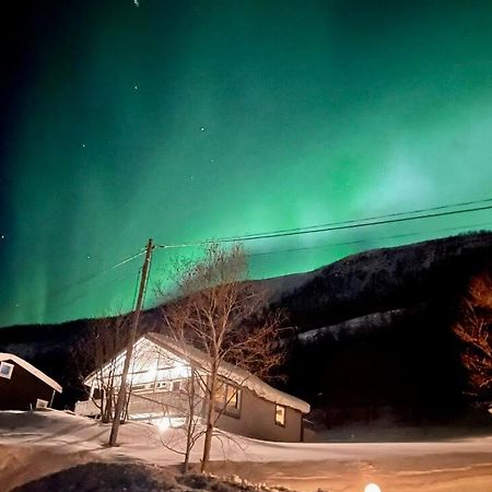 Hundbergan Apartment-Free Parking-15 Min From Tromso Tromsdalen 외부 사진