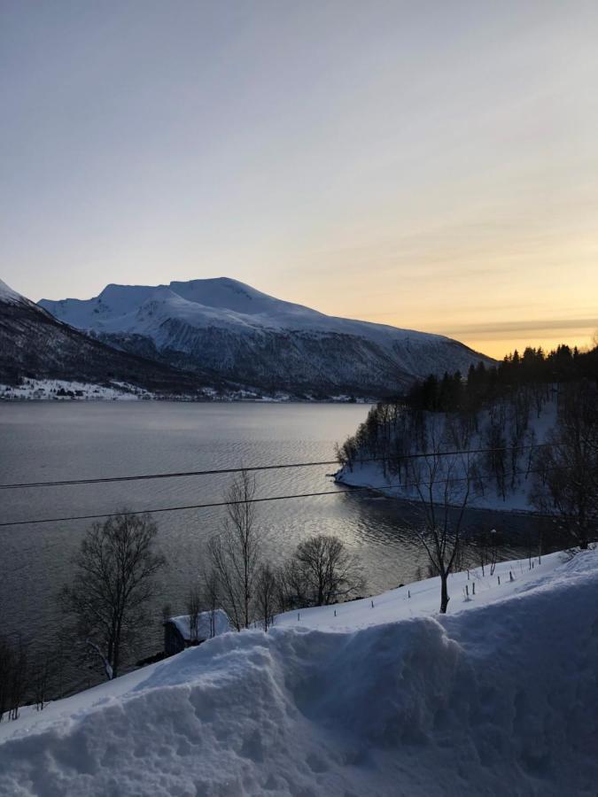 Hundbergan Apartment-Free Parking-15 Min From Tromso Tromsdalen 외부 사진
